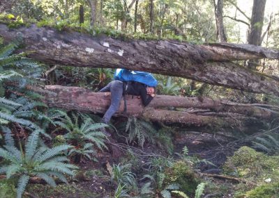 Isi Adolf aus dem Boulderwelt-Athletenteam auf Abenteuer Steward Island