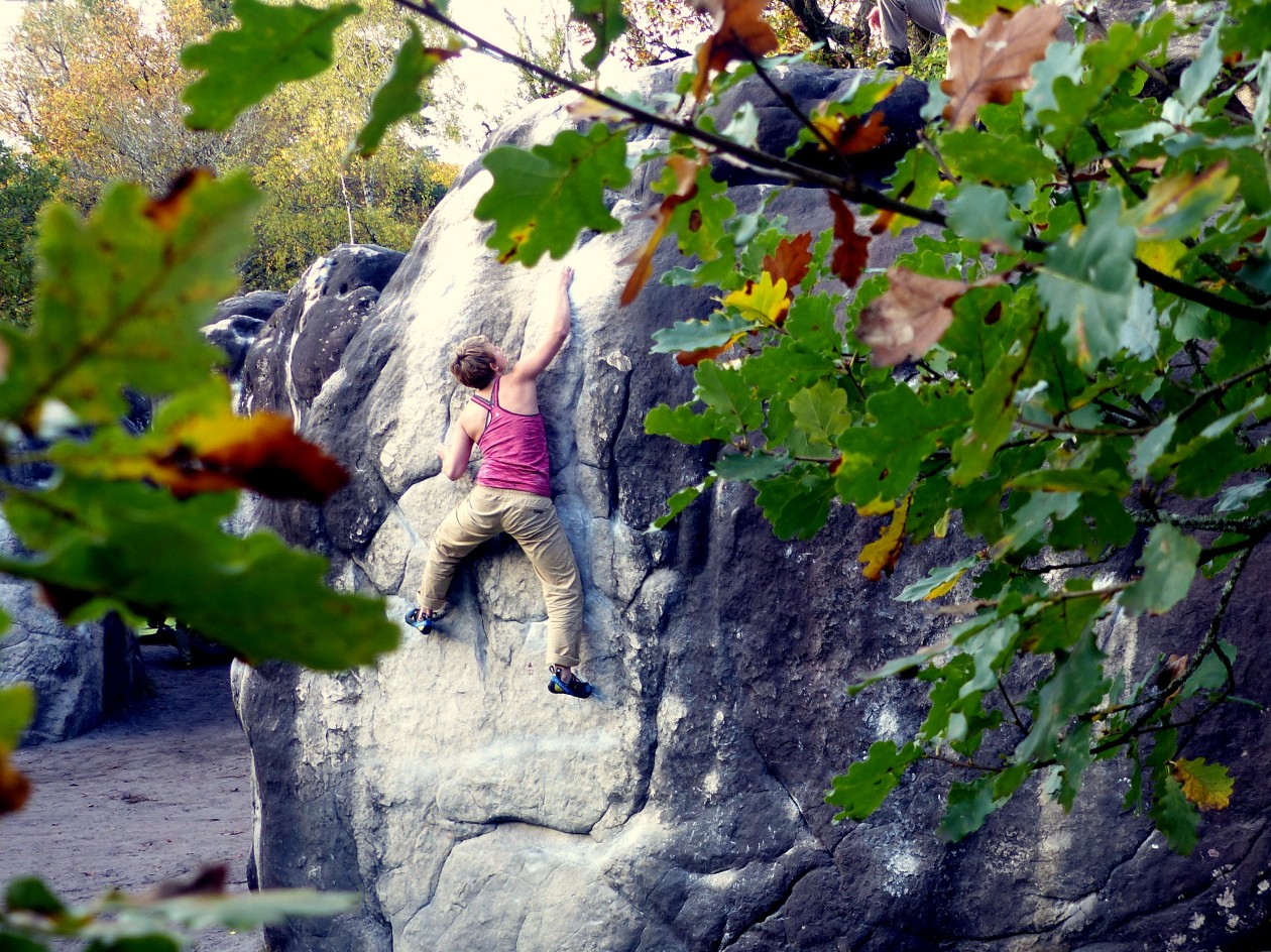 Freddy vom Boulderwelt Athletenteam beim Bouldern in Fontainebleau